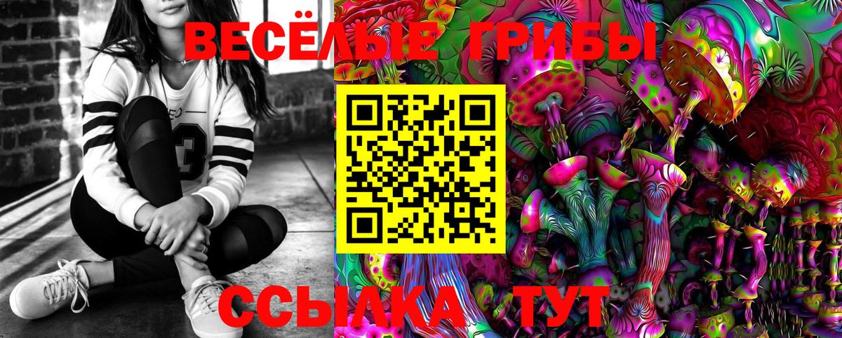 Галлюциногенные грибы Psilocybine cubensis  Вход с VPN  наркотики  Псилоцибиновые грибы Cubensis  Славгород 