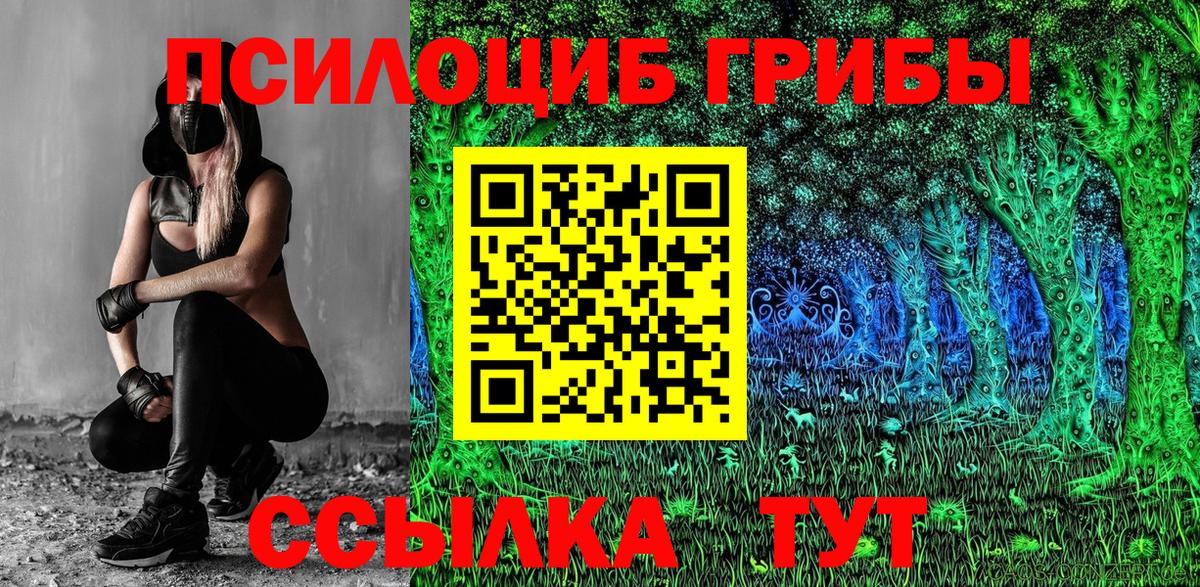 Галлюциногенные грибы прущие грибы  Славгород  Галлюциногенные грибы ЛСД 