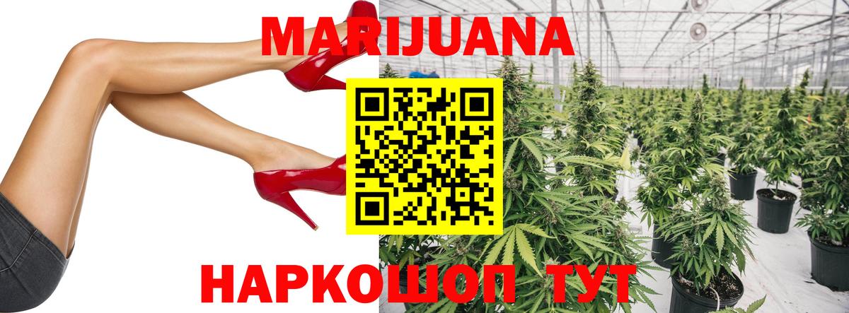 Марихуана планчик  Славгород  Каннабис ГИДРОПОН  Канабис THC 21% 